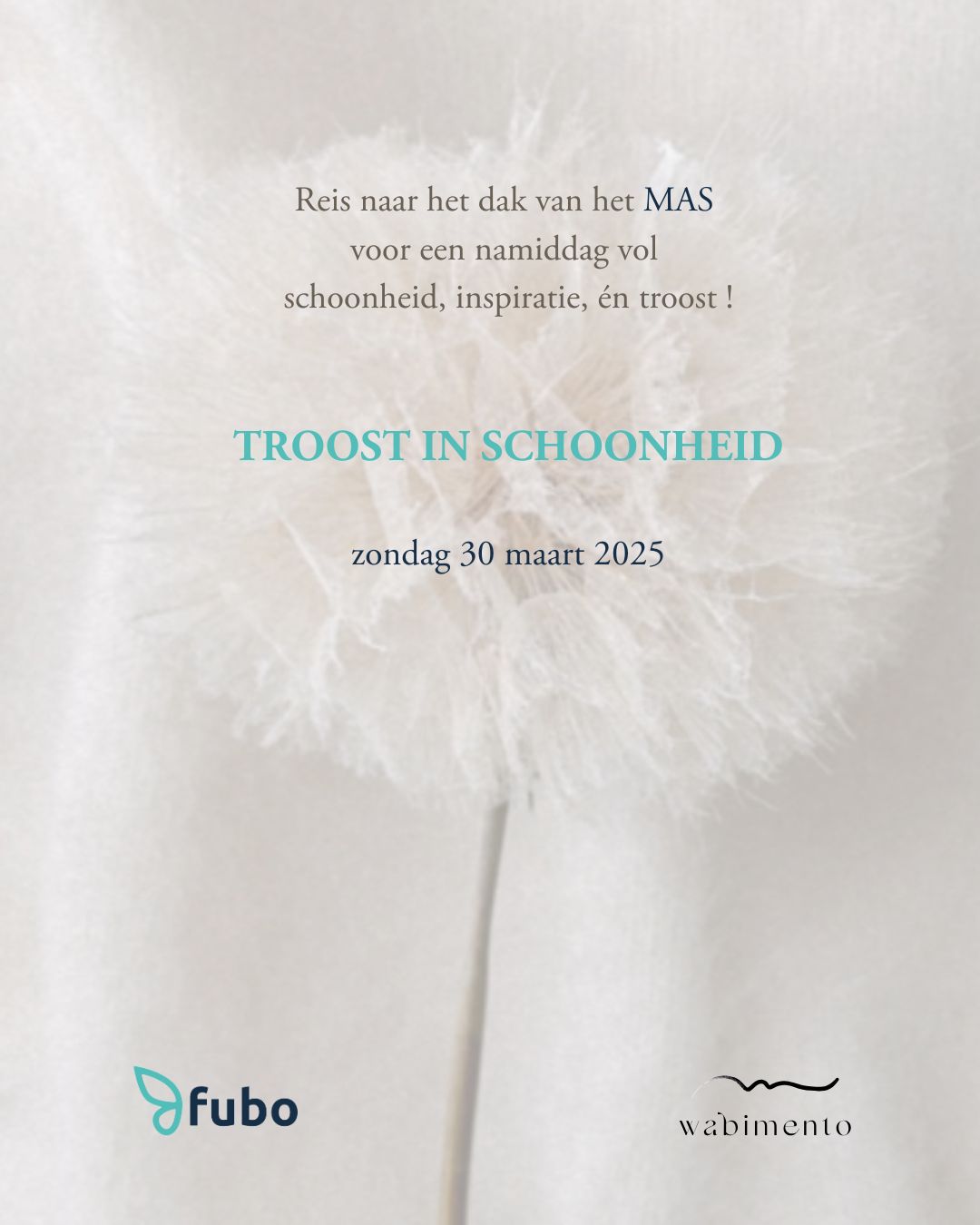 Troost in schoonheid