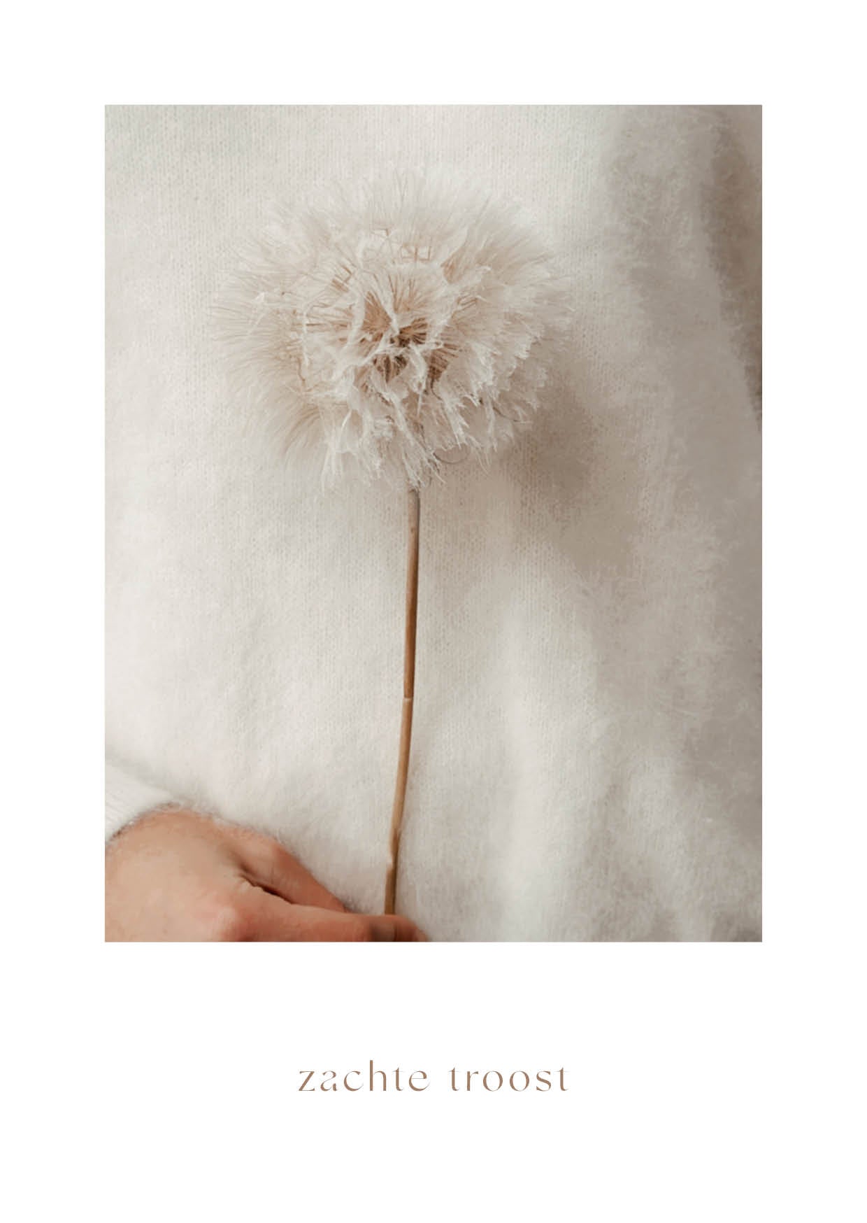 Troostkaart 'Zachte troost'