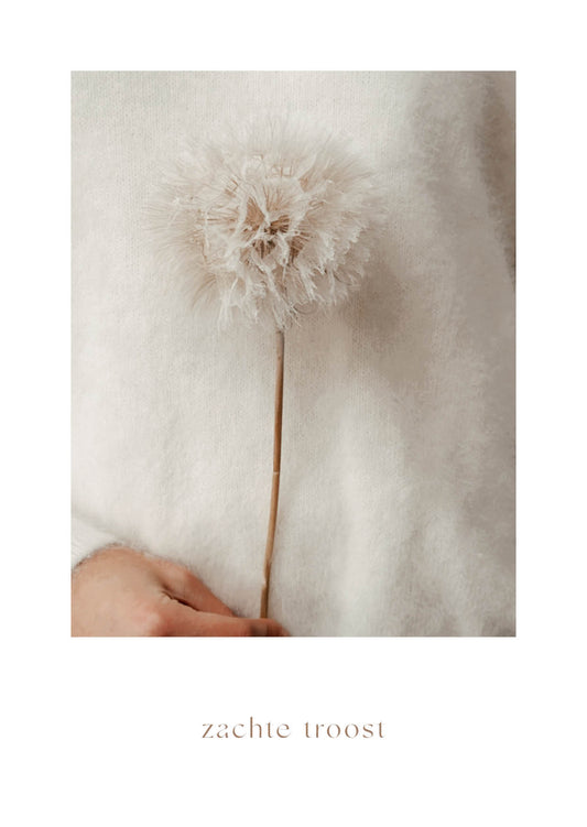 Troostkaart 'Zachte troost'