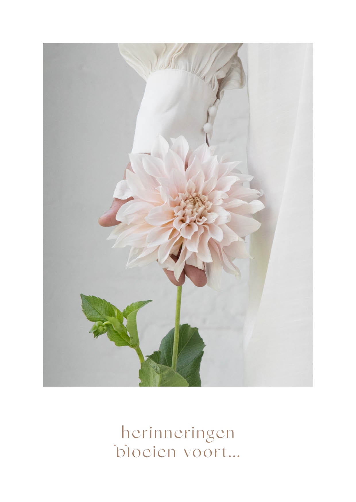 Troostkaart 'herinneringen bloeien voort...'