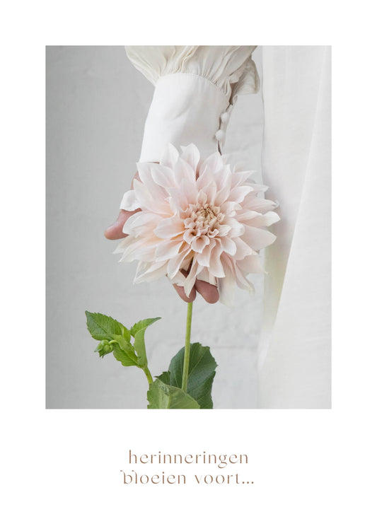 Troostkaart 'herinneringen bloeien voort...'